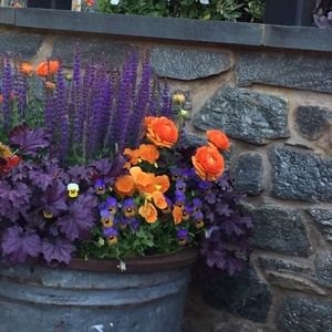 Meet your Posher, Cheri